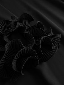 Noella Latania Dress  4