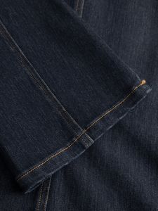 Noella Denim Jacket  5